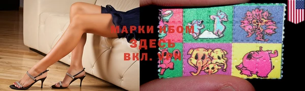 прущие грибы Алексеевка