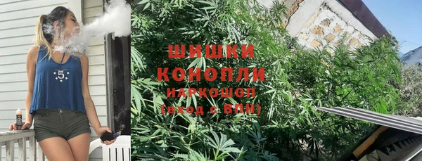 прущие грибы Алексеевка