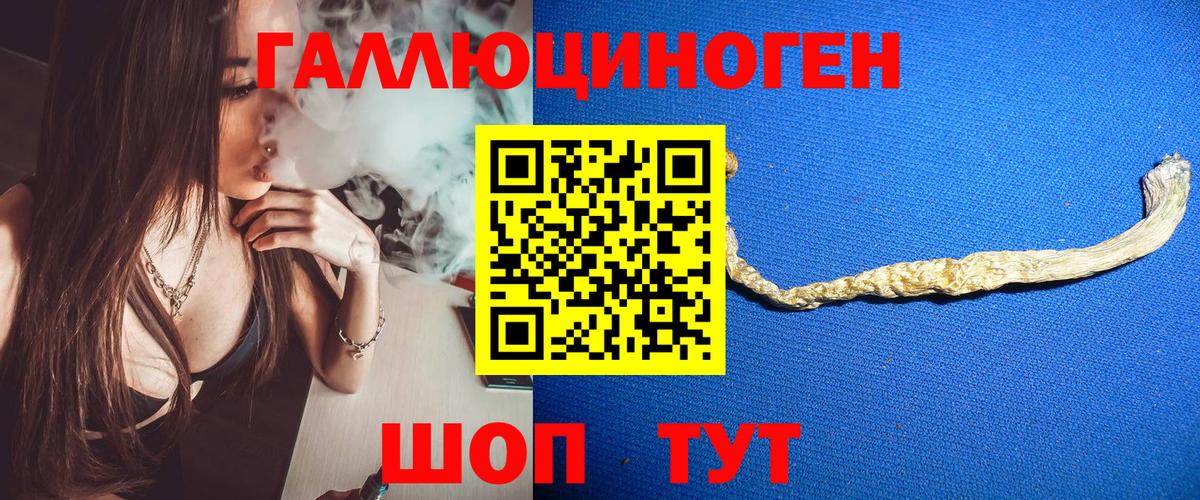 Галлюциногенные грибы GOLDEN TEACHER  Вход с VPN  Курганинск  где найти наркотики  Галлюциногенные грибы Psilocybine cubensis 