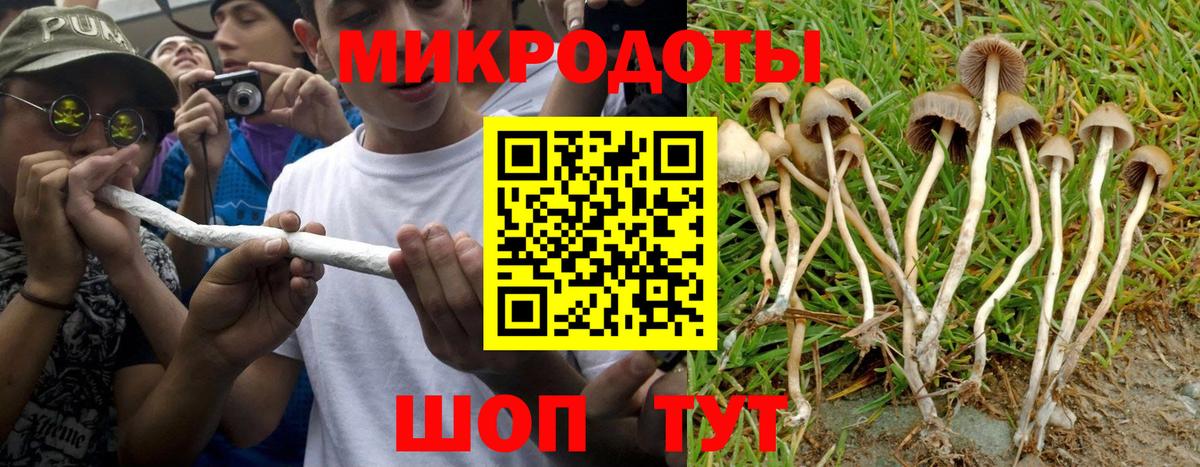 Псилоцибиновые грибы ЛСД Курганинск